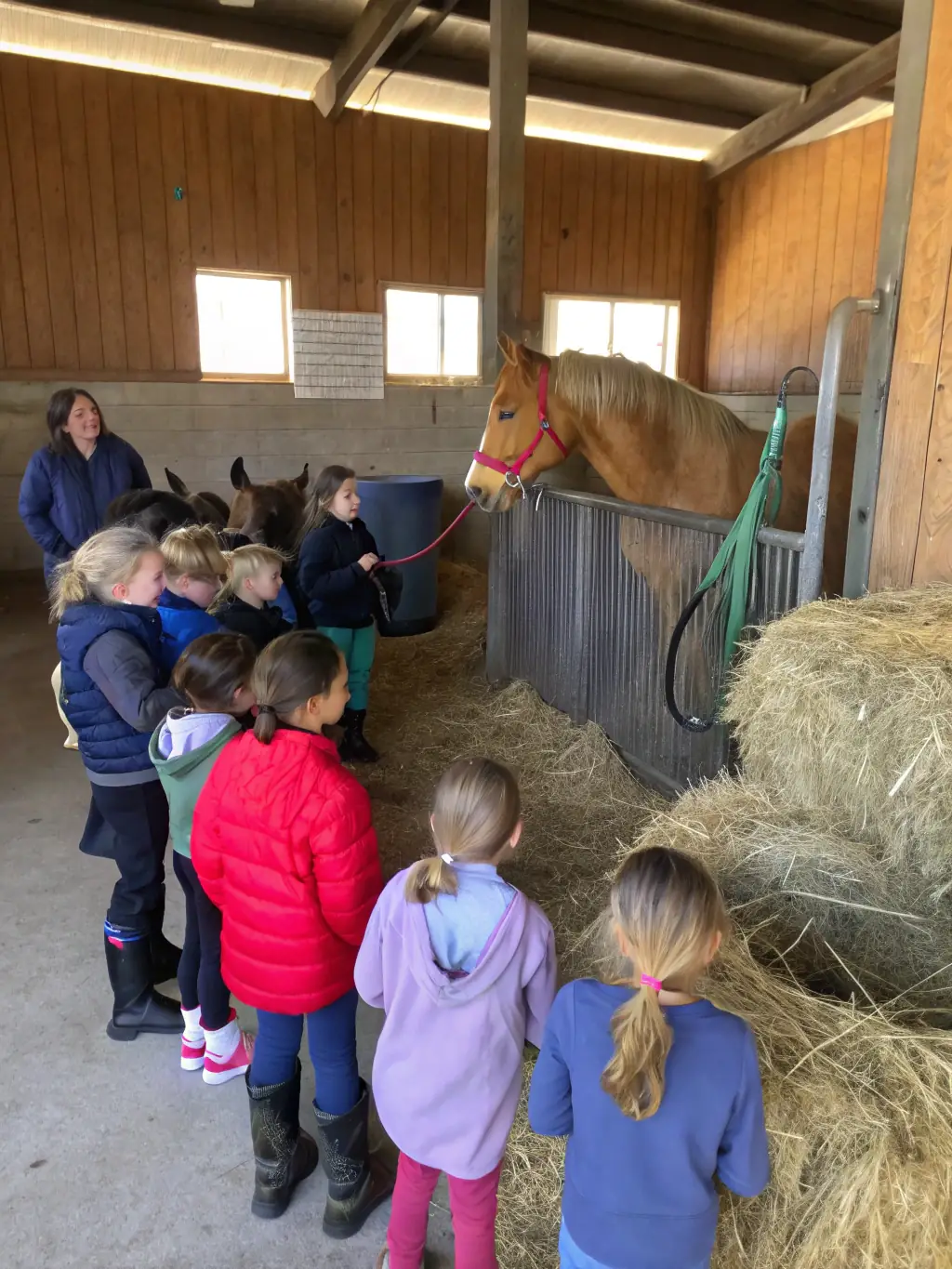 Children happily grooming and interacting with horses during a therapeutic riding session at LES AMIS CAVALIERS DES SABLONS.