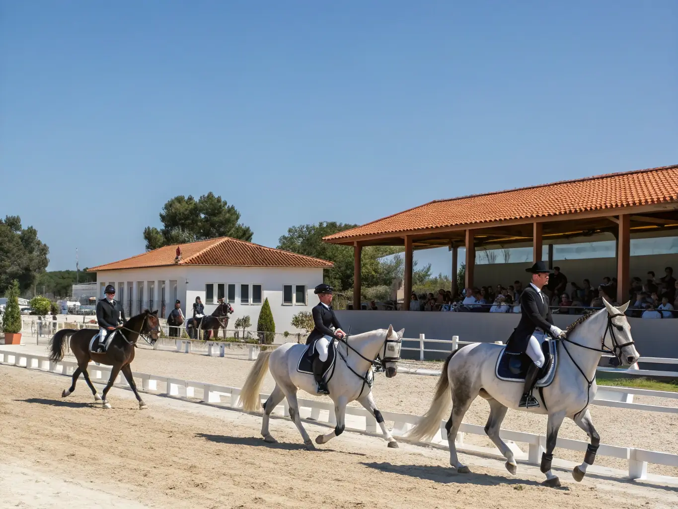 A group of riders participating in a dressage training session in an outdoor arena, focusing on precision and harmony with their horses.